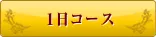 １日コース